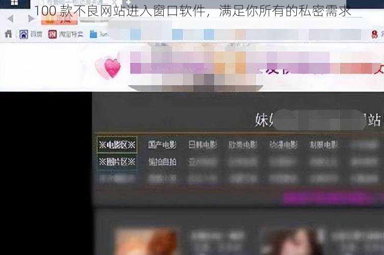 100 款不良网站进入窗口软件，满足你所有的私密需求