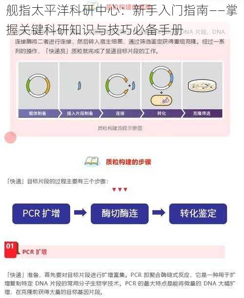 舰指太平洋科研中心：新手入门指南——掌握关键科研知识与技巧必备手册