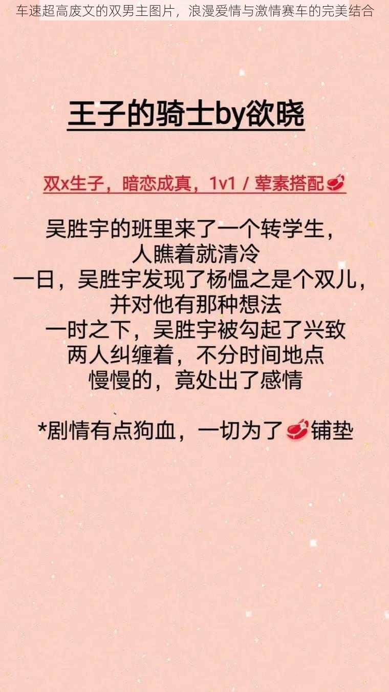 车速超高废文的双男主图片，浪漫爱情与激情赛车的完美结合