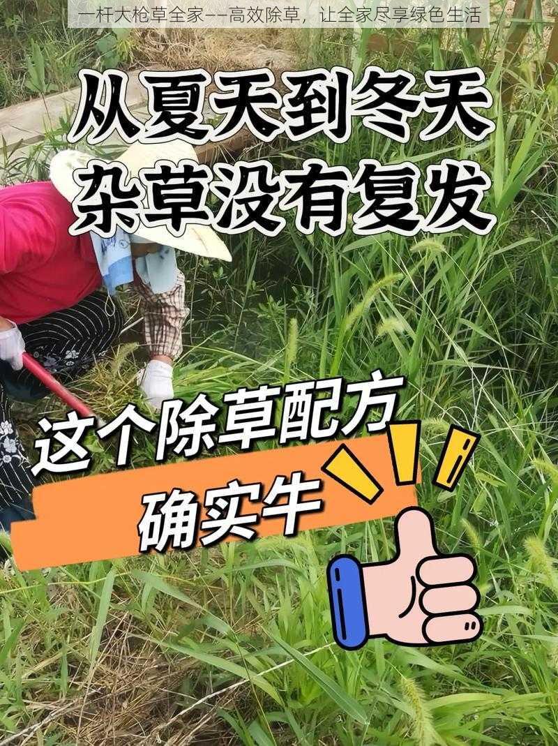 一杆大枪草全家——高效除草，让全家尽享绿色生活