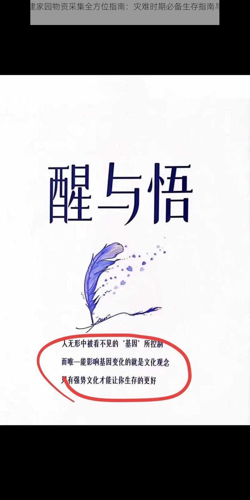 灾后重建家园物资采集全方位指南：灾难时期必备生存指南与应急准备策略