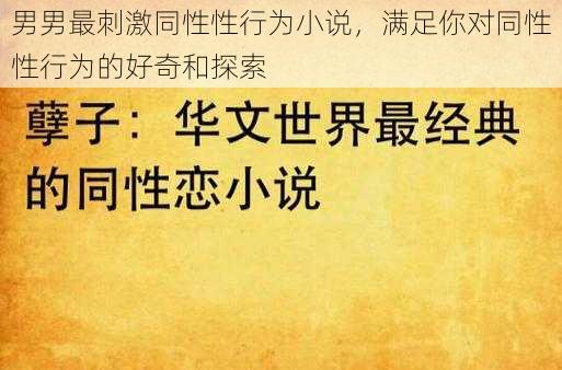 男男最刺激同性性行为小说，满足你对同性性行为的好奇和探索