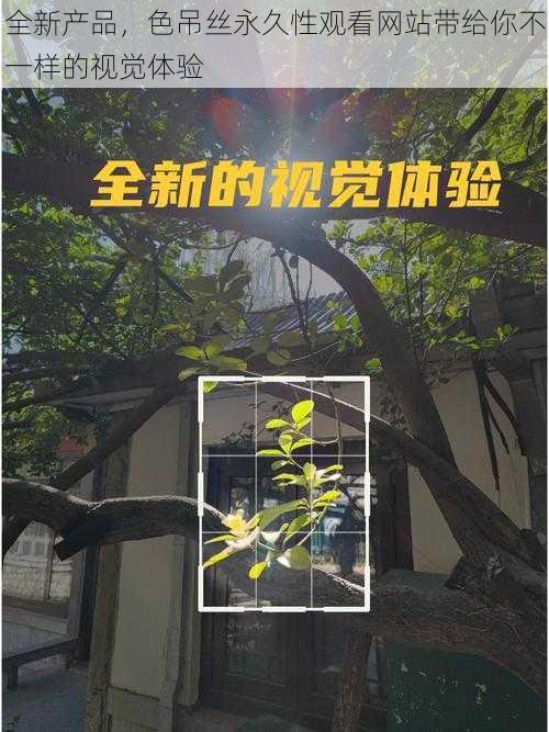 全新产品，色吊丝永久性观看网站带给你不一样的视觉体验