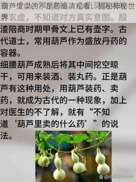 葫芦里卖的不是药高清观看：揭秘神秘世界