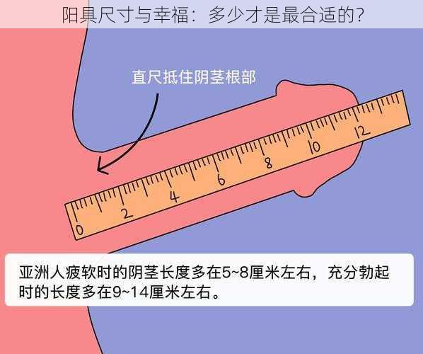 阳具尺寸与幸福：多少才是最合适的？