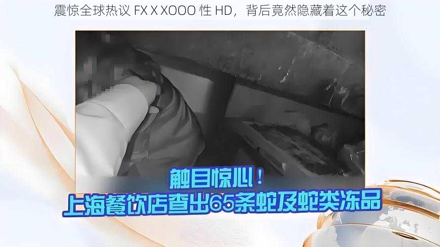 震惊全球热议 FXⅩXOOO 性 HD，背后竟然隐藏着这个秘密