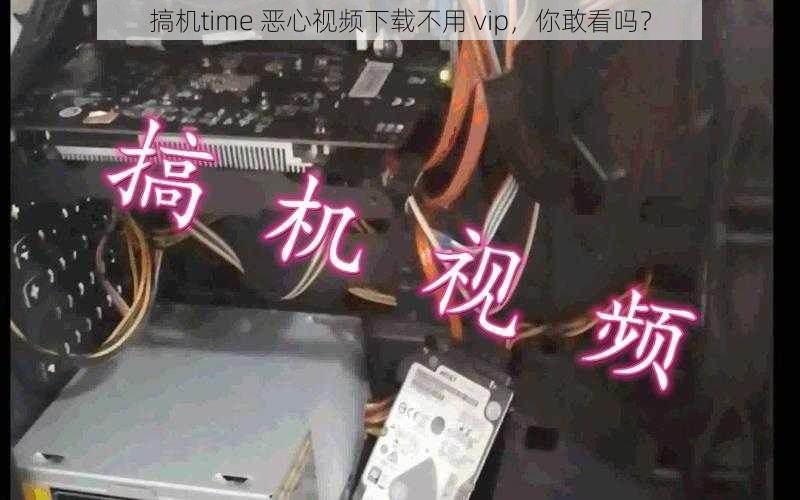 搞机time 恶心视频下载不用 vip，你敢看吗？