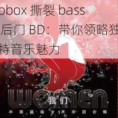 bbox 撕裂 bass 后门 BD：带你领略独特音乐魅力