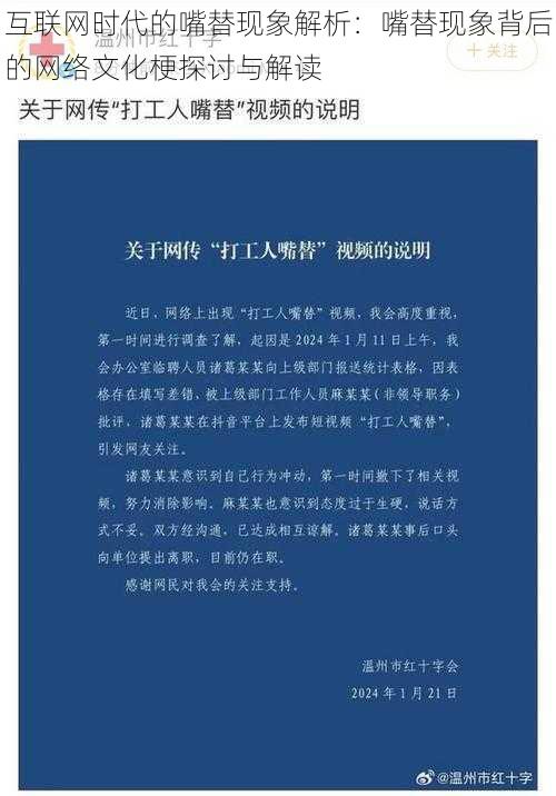 互联网时代的嘴替现象解析：嘴替现象背后的网络文化梗探讨与解读