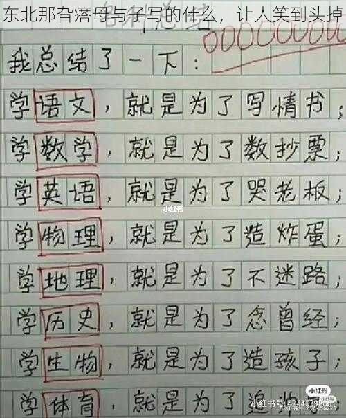 东北那旮瘩母与子写的什么，让人笑到头掉