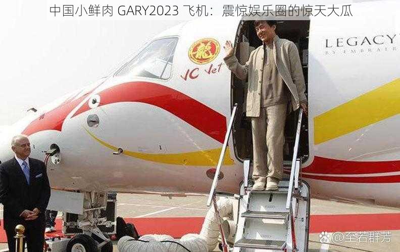 中国小鲜肉 GARY2023 飞机：震惊娱乐圈的惊天大瓜