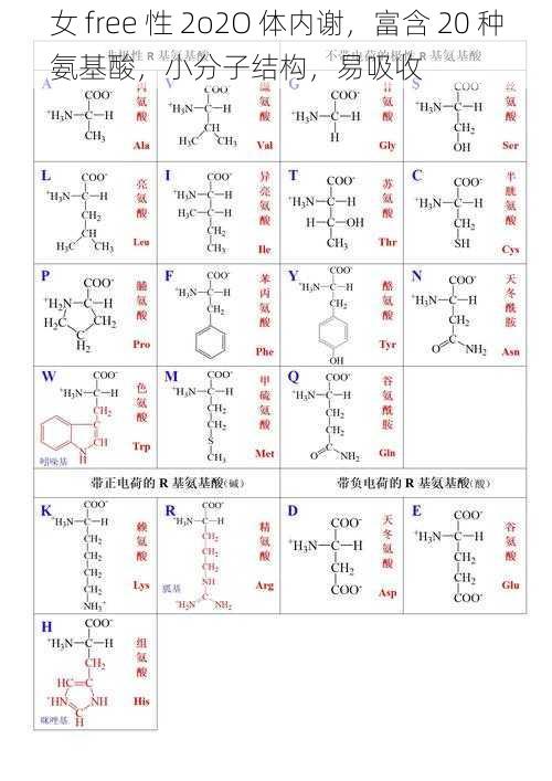 女 free 性 2o2O 体内谢，富含 20 种氨基酸，小分子结构，易吸收