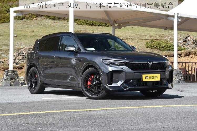 高性价比国产 SUV，智能科技与舒适空间完美融合