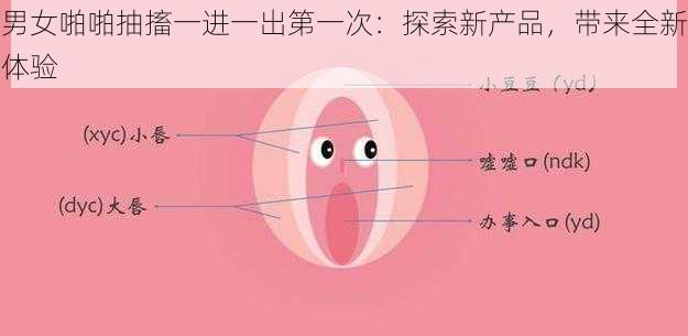 男女啪啪抽搐一进一出第一次：探索新产品，带来全新体验