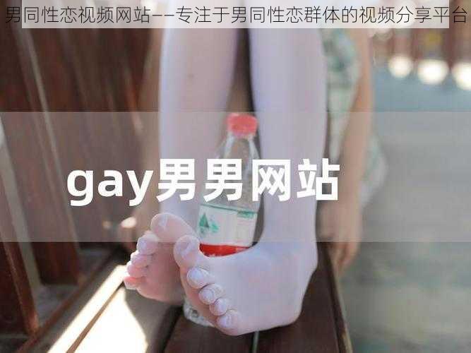 男同性恋视频网站——专注于男同性恋群体的视频分享平台