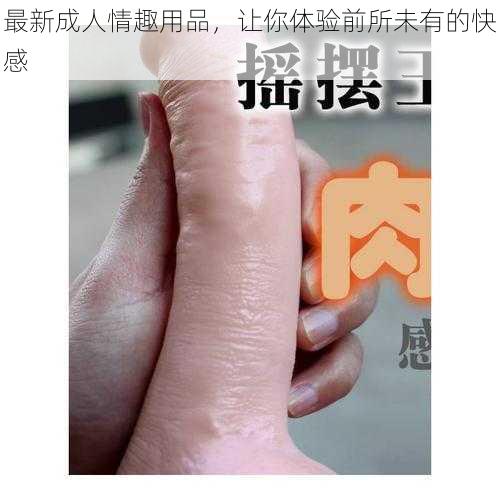 最新成人情趣用品，让你体验前所未有的快感