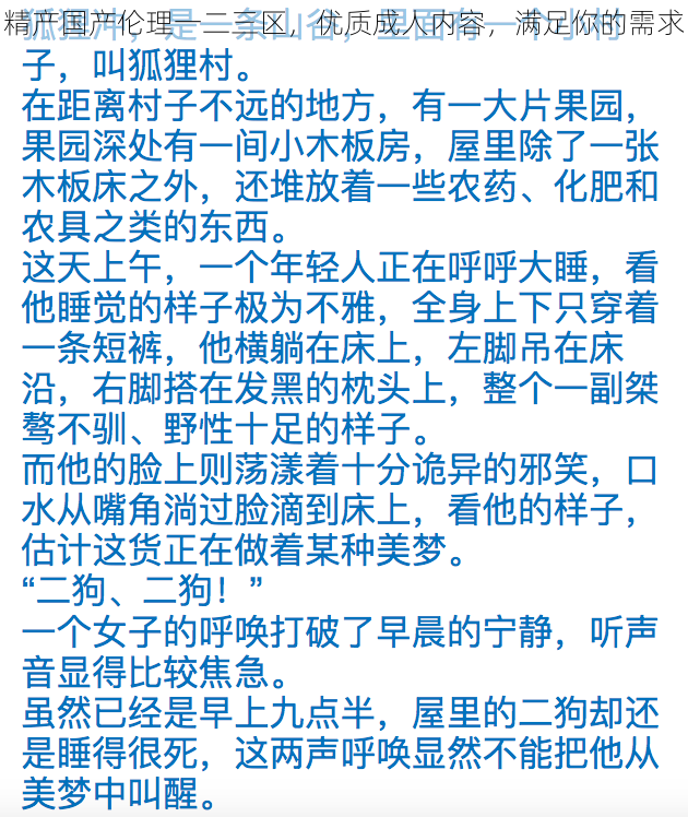 精产国产伦理一二三区，优质成人内容，满足你的需求