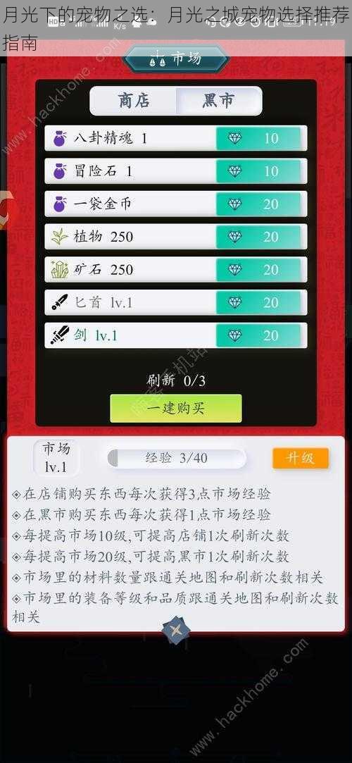 月光下的宠物之选：月光之城宠物选择推荐指南