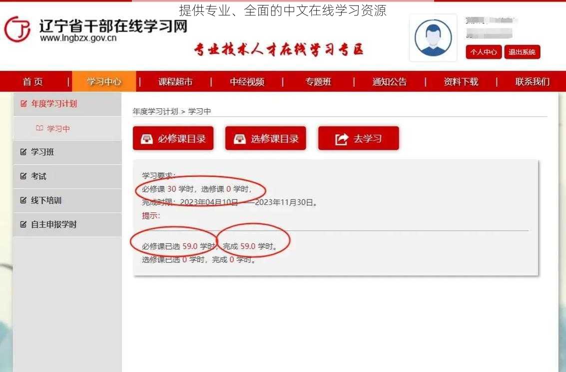 提供专业、全面的中文在线学习资源