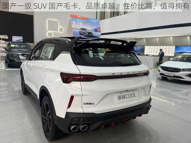 国产一级 SUV 国产毛卡，品质卓越，性价比高，值得拥有