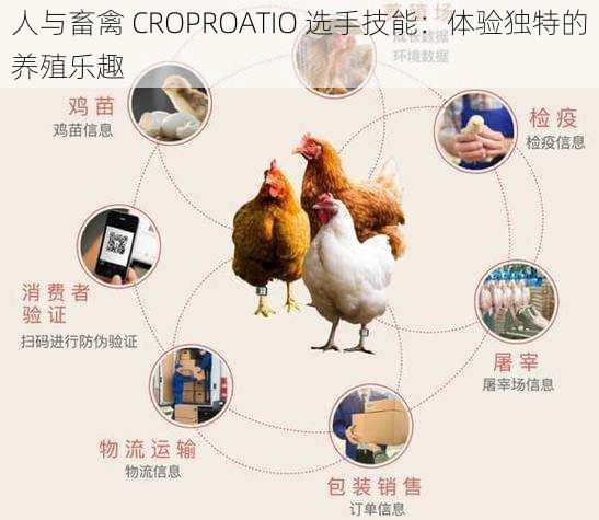 人与畜禽 CROPROATIO 选手技能：体验独特的养殖乐趣