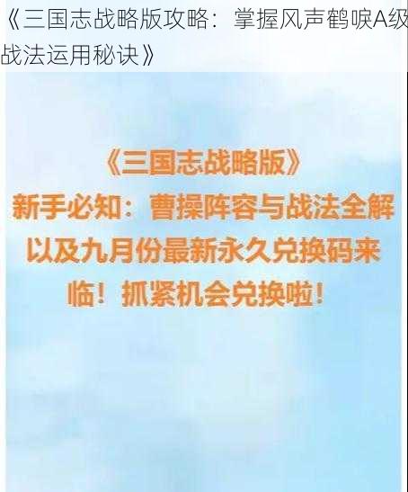 《三国志战略版攻略：掌握风声鹤唳A级战法运用秘诀》