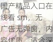 国产精品入口在线看 sm，无广告无弹窗，内容优质，适合深夜观看