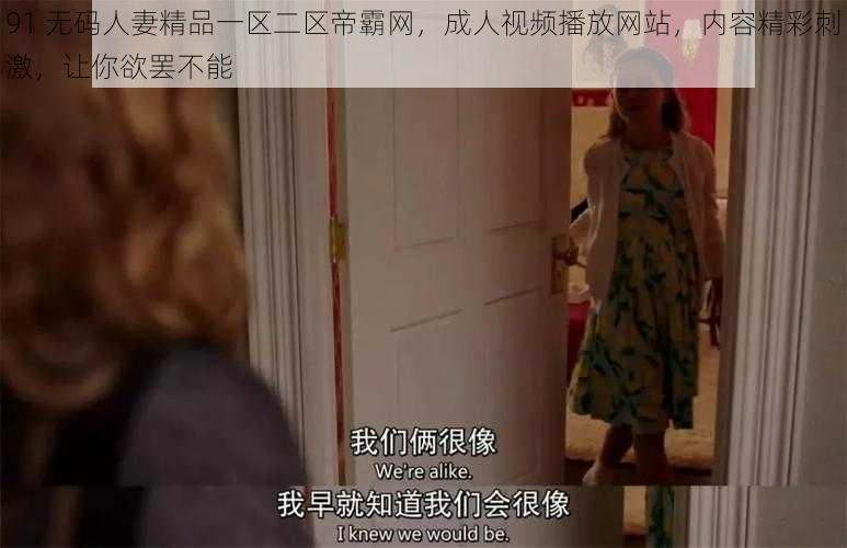 91 无码人妻精品一区二区帝霸网，成人视频播放网站，内容精彩刺激，让你欲罢不能