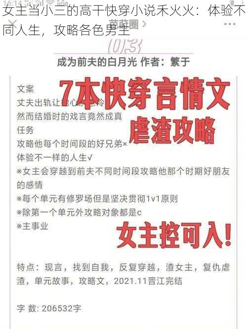 女主当小三的高干快穿小说禾火火：体验不同人生，攻略各色男主