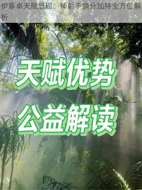 伊藤卓天赋显现：神射手缘分加持全方位解析