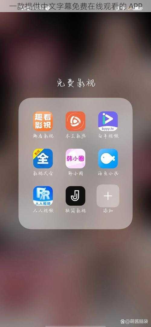 一款提供中文字幕免费在线观看的 APP