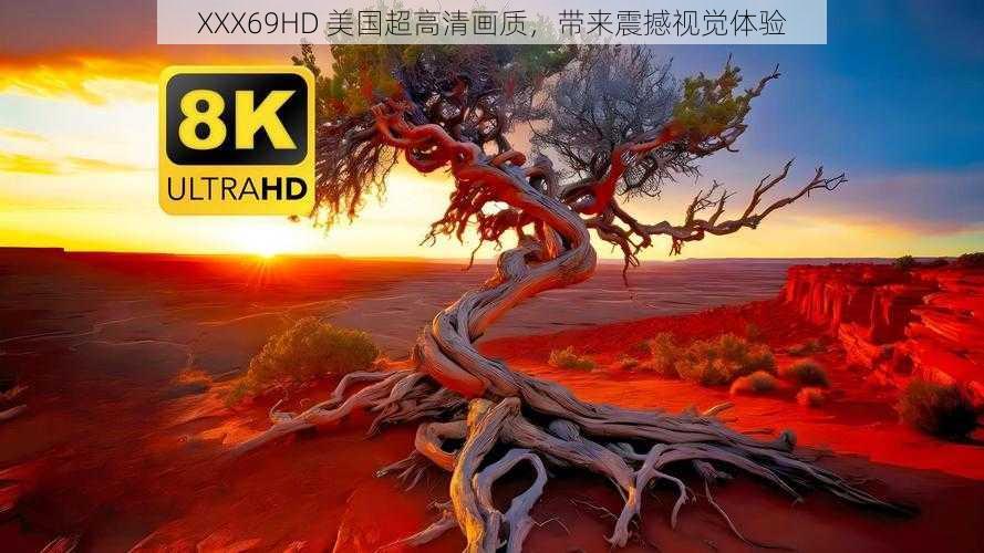 XXX69HD 美国超高清画质，带来震撼视觉体验