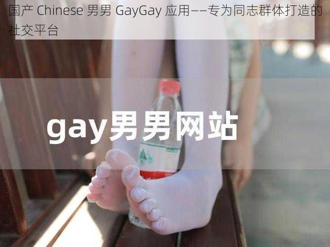 国产 Chinese 男男 GayGay 应用——专为同志群体打造的社交平台