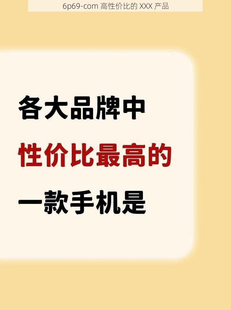 6p69-com 高性价比的 XXX 产品