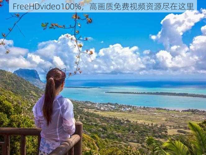 FreeHDvideo100%，高画质免费视频资源尽在这里