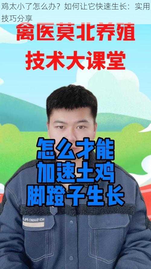 鸡太小了怎么办？如何让它快速生长：实用技巧分享