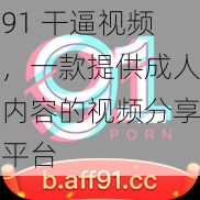 91 干逼视频，一款提供成人内容的视频分享平台