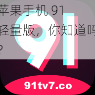 苹果手机 91 轻量版，你知道吗？