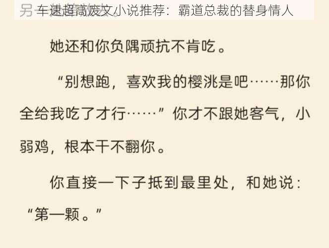 车速超高废文小说推荐：霸道总裁的替身情人