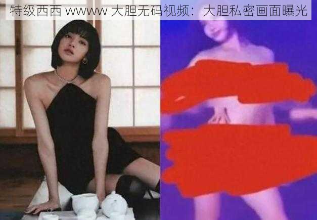 特级西西 wwww 大胆无码视频：大胆私密画面曝光