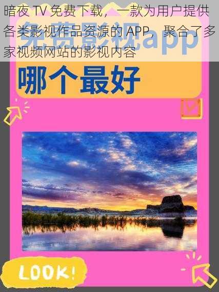 暗夜 TV 免费下载，一款为用户提供各类影视作品资源的 APP，聚合了多家视频网站的影视内容