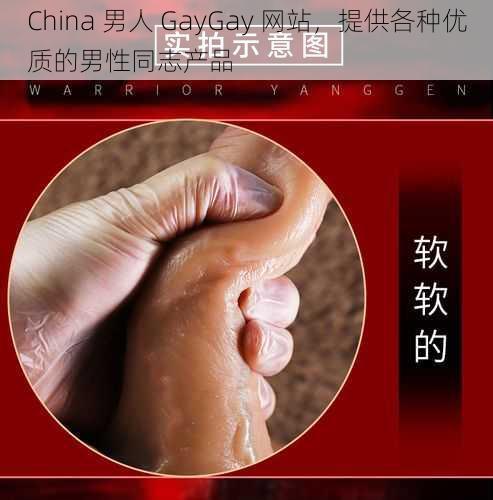 China 男人 GayGay 网站，提供各种优质的男性同志产品