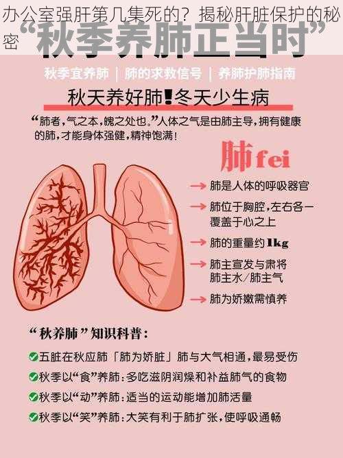 办公室强肝第几集死的？揭秘肝脏保护的秘密