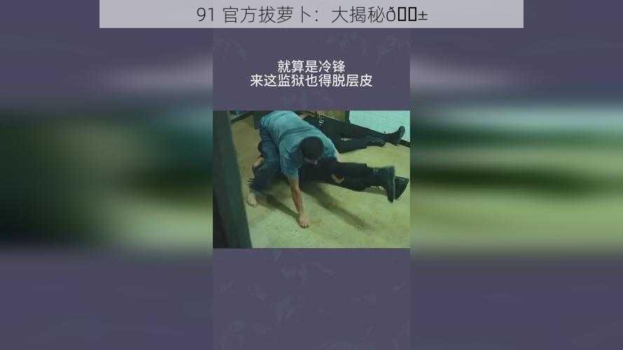 91 官方拔萝卜：大揭秘😱