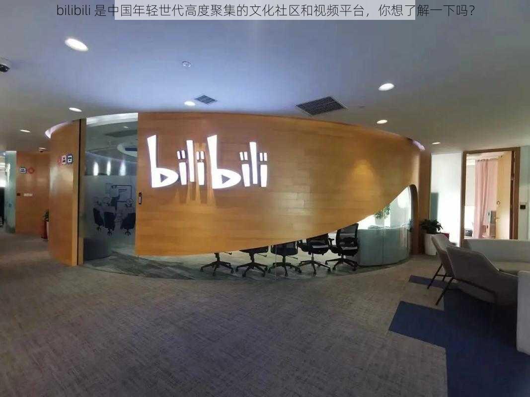 bilibili 是中国年轻世代高度聚集的文化社区和视频平台，你想了解一下吗？