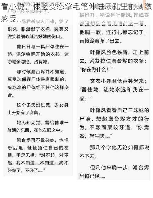 看小说，体验变态拿毛笔伸进尿孔里的刺激感受