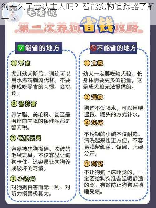 狗养久了会认主人吗？智能宠物追踪器了解一下