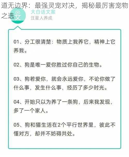 道无边界：最强灵宠对决，揭秘最厉害宠物之选