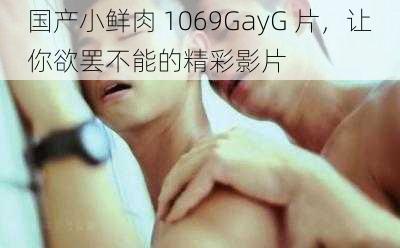 国产小鲜肉 1069GayG 片，让你欲罢不能的精彩影片