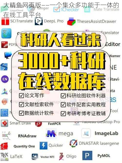 大精鱼网页版——一个集众多功能于一体的在线工具平台